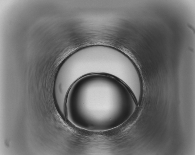 X0000102250577200808011313