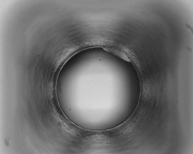 X0000102250578200808011313