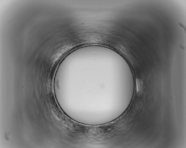 X0000102250579200808011313