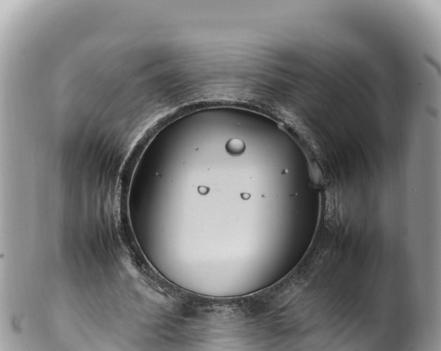 X0000102250580200808011313