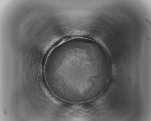 X0000102250581200808011313