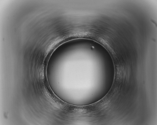 X0000102250582200808011313