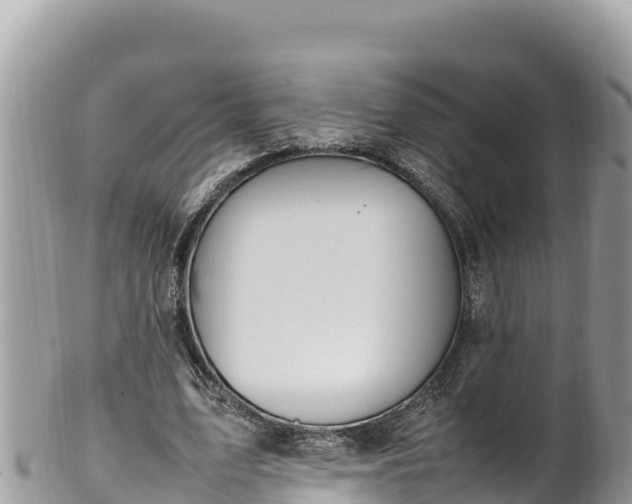 X0000102250583200808011313