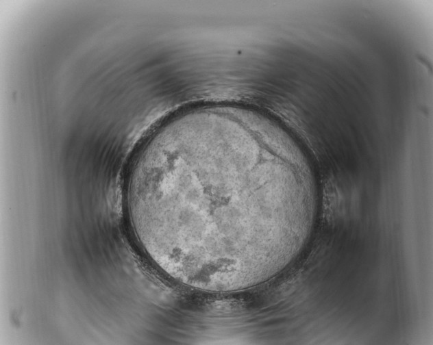 X0000102250584200808011313