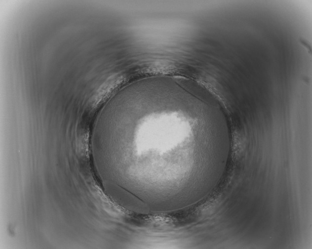 X0000102250585200808011313