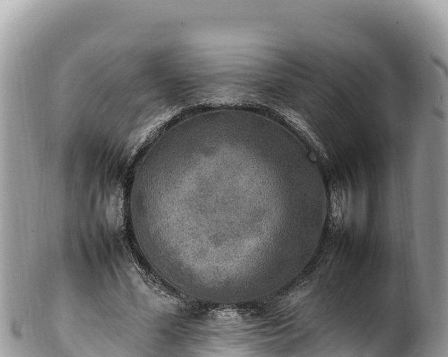 X0000102250588200808011313