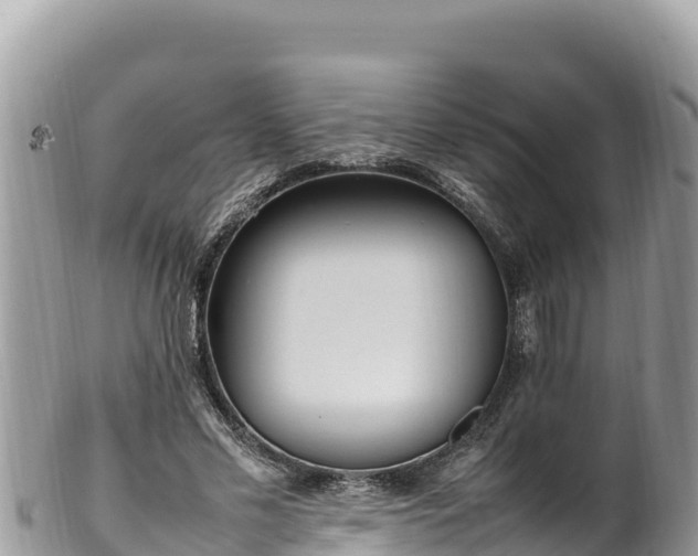 X0000102250589200808011313