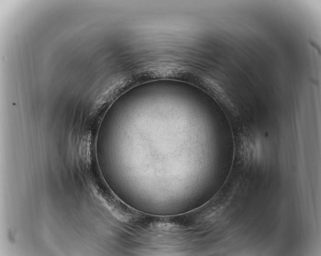 X0000102250590200808011313