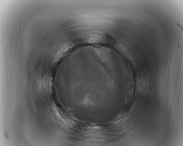 X0000102250592200808011313