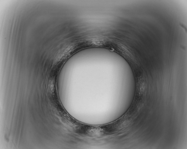 X0000102250595200808011312