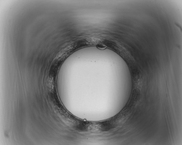 X0000102250599200808011312