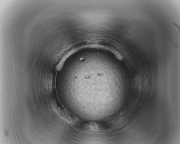 X0000102250600200808011312