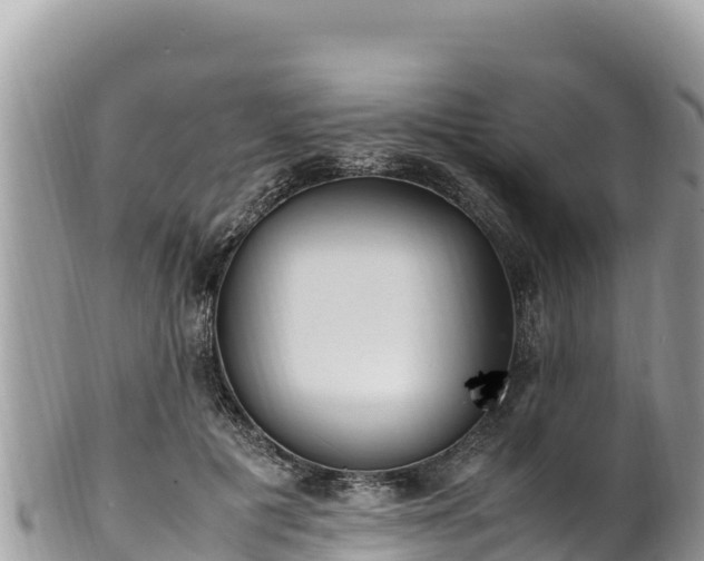 X0000102250601200808011312