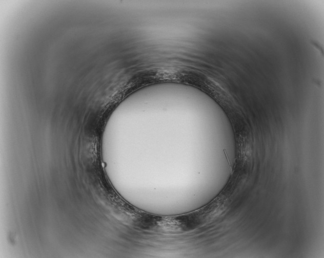 X0000102250603200808011312