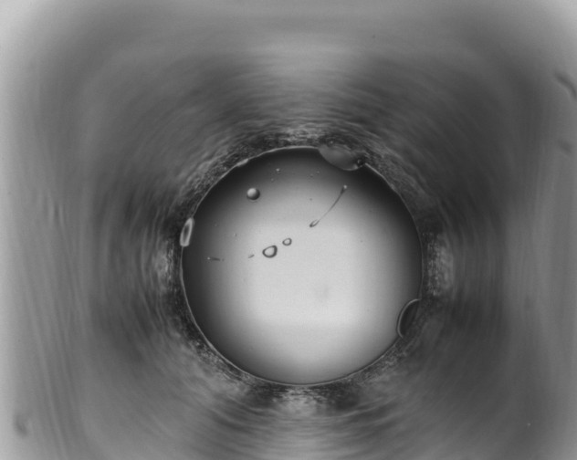 X0000102250608200808011312