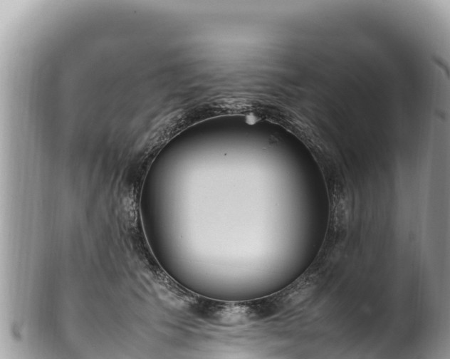 X0000102250609200808011312