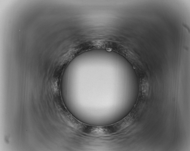 X0000102250611200808011312