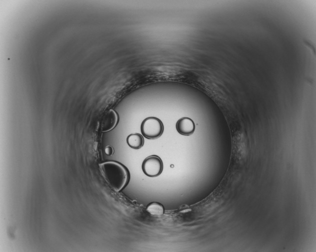 X0000102250615200808011312