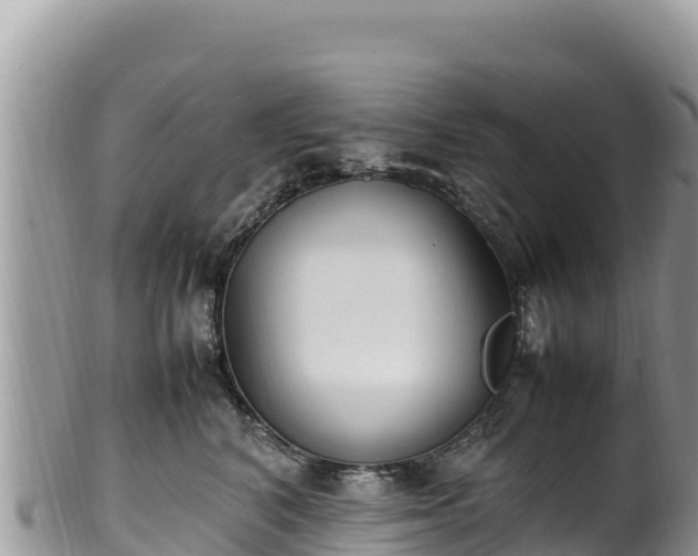 X0000102250616200808011312