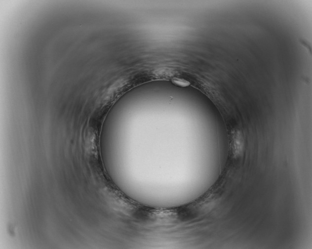 X0000102250619200808011312