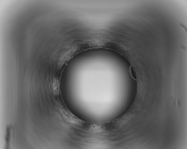 X0000102250624200808011312