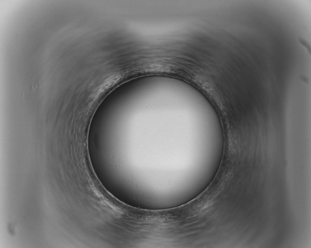 X0000102250625200808011311