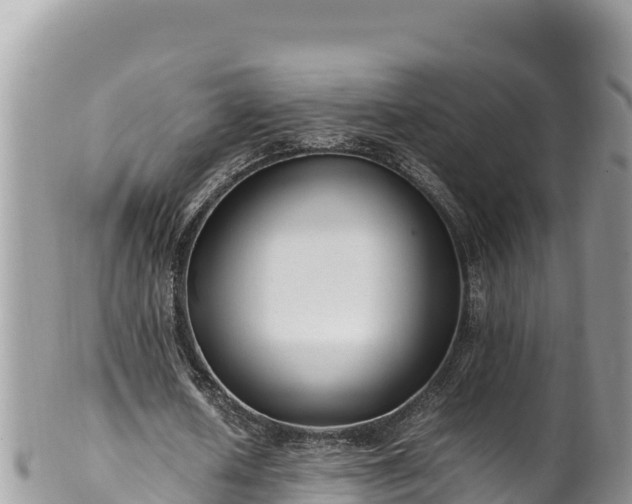 X0000102250626200808011311