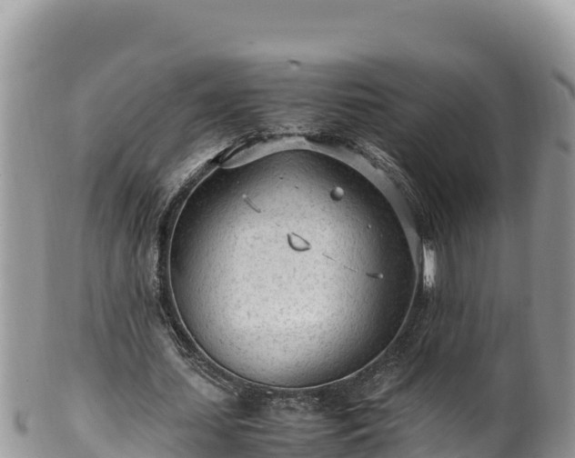 X0000102250627200808011311