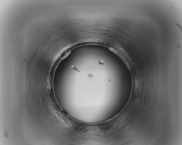 X0000102250628200808011311