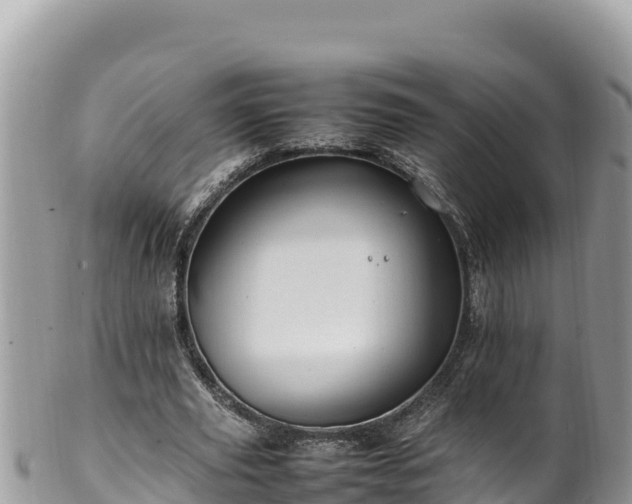 X0000102250629200808011311