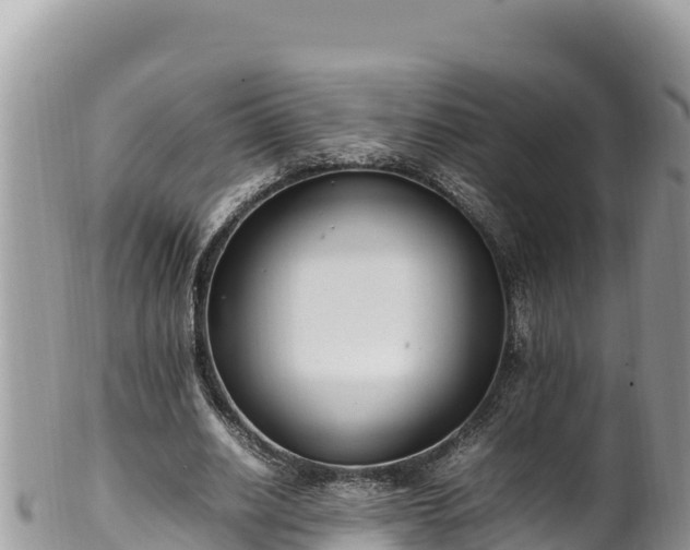 X0000102250630200808011311