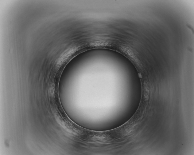 X0000102250631200808011311