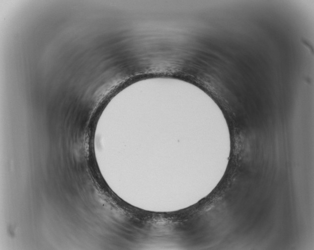 X0000102250632200808011311