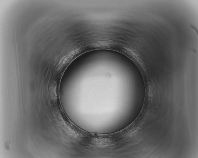 X0000102250633200808011311