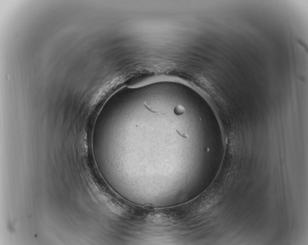 X0000102250634200808011311