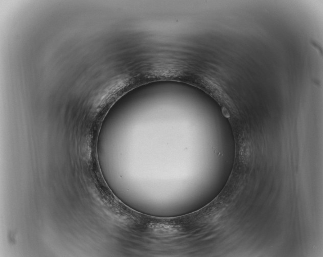 X0000102250635200808011311