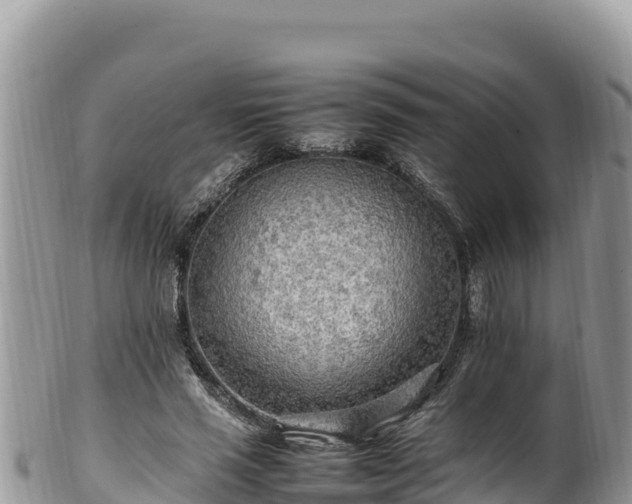 X0000102250637200808011311