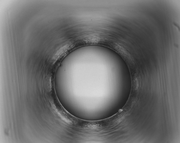 X0000102250638200808011311