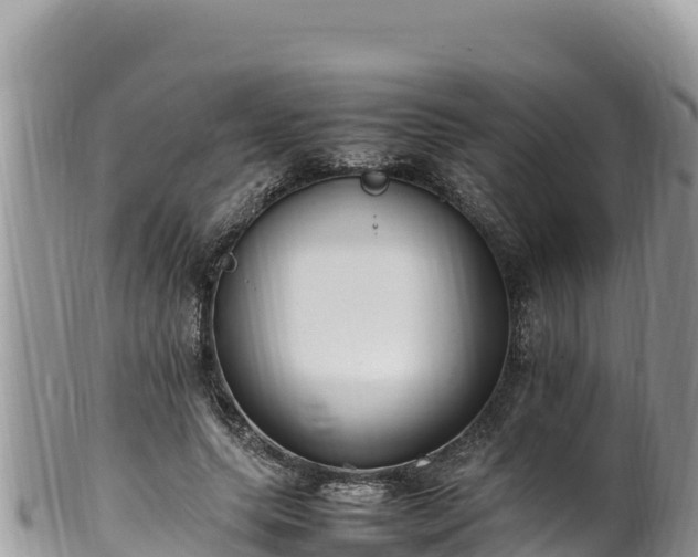 X0000102250639200808011311