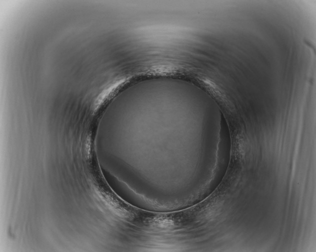 X0000102250640200808011311