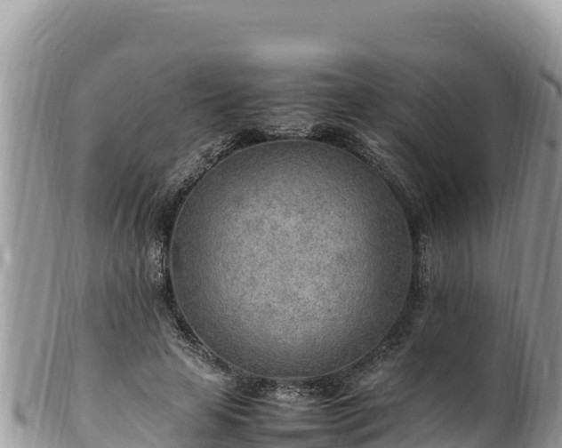 X0000102250641200808011311