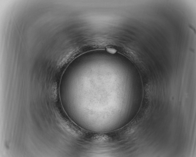 X0000102250642200808011311