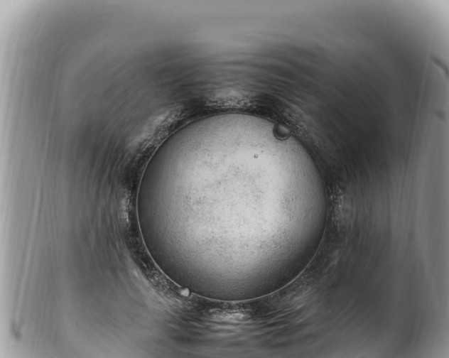 X0000102250643200808011311