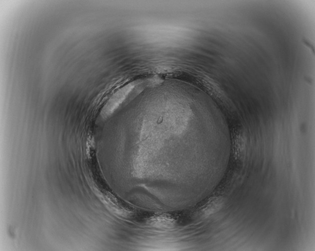 X0000102250644200808011312