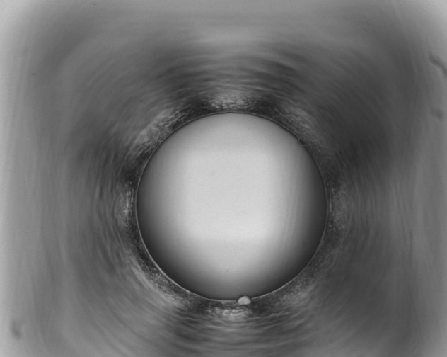 X0000102250645200808011312