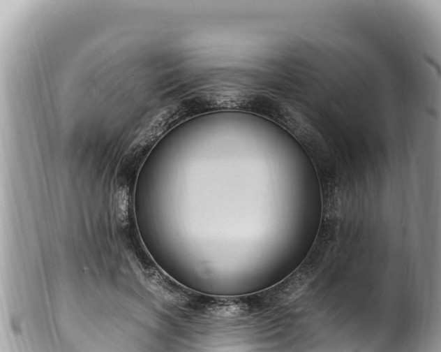 X0000102250646200808011312