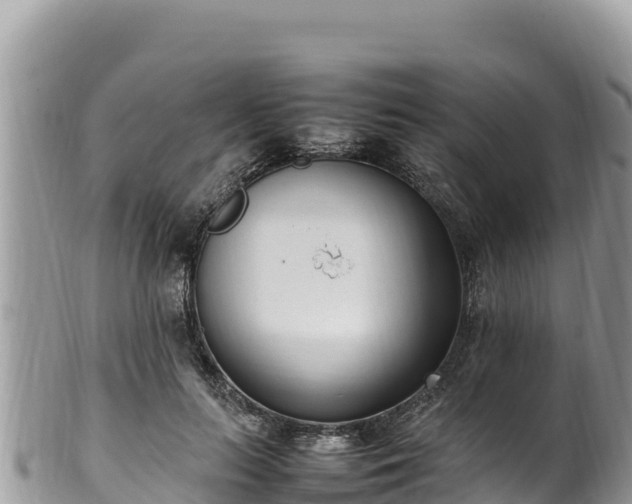 X0000102250647200808011312