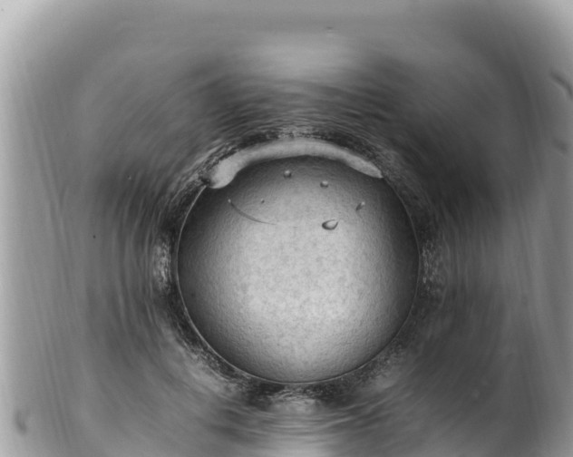 X0000102250648200808011312