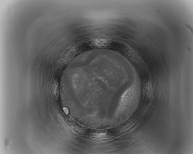 X0000102250651200808011312