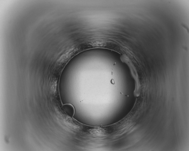 X0000102250652200808011312